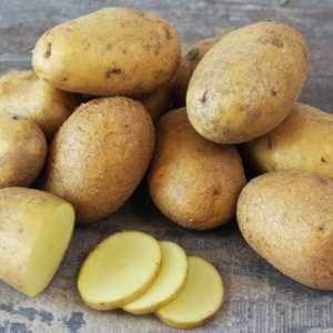 Virginie - Pommes de terre nouvelle (kg)