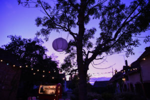 La Baligande et son arbre au coucher de soleil