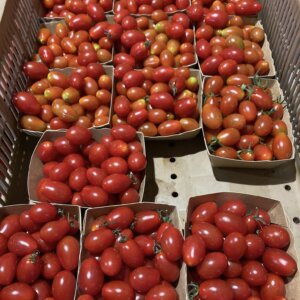 Virginie - Tomates cerise ( 250g)