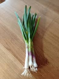 Virginie - Botte d'aillets