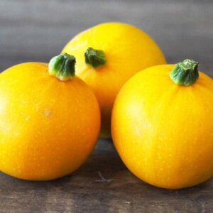 Virginie -Courgette ronde jaune ou verte (1kg)